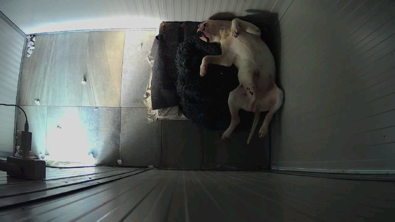 Foto 9